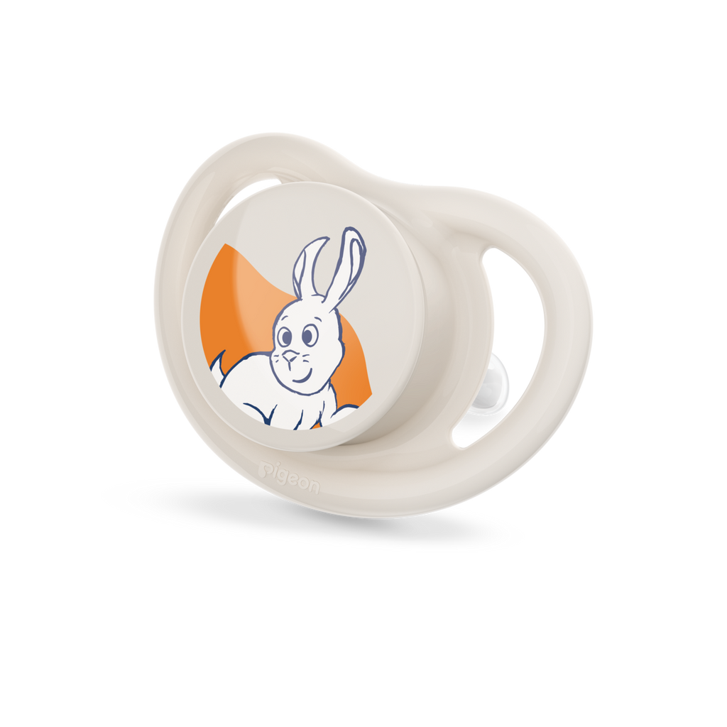 Minilight Pacifier Sustainable Collection BPP (2pc) L