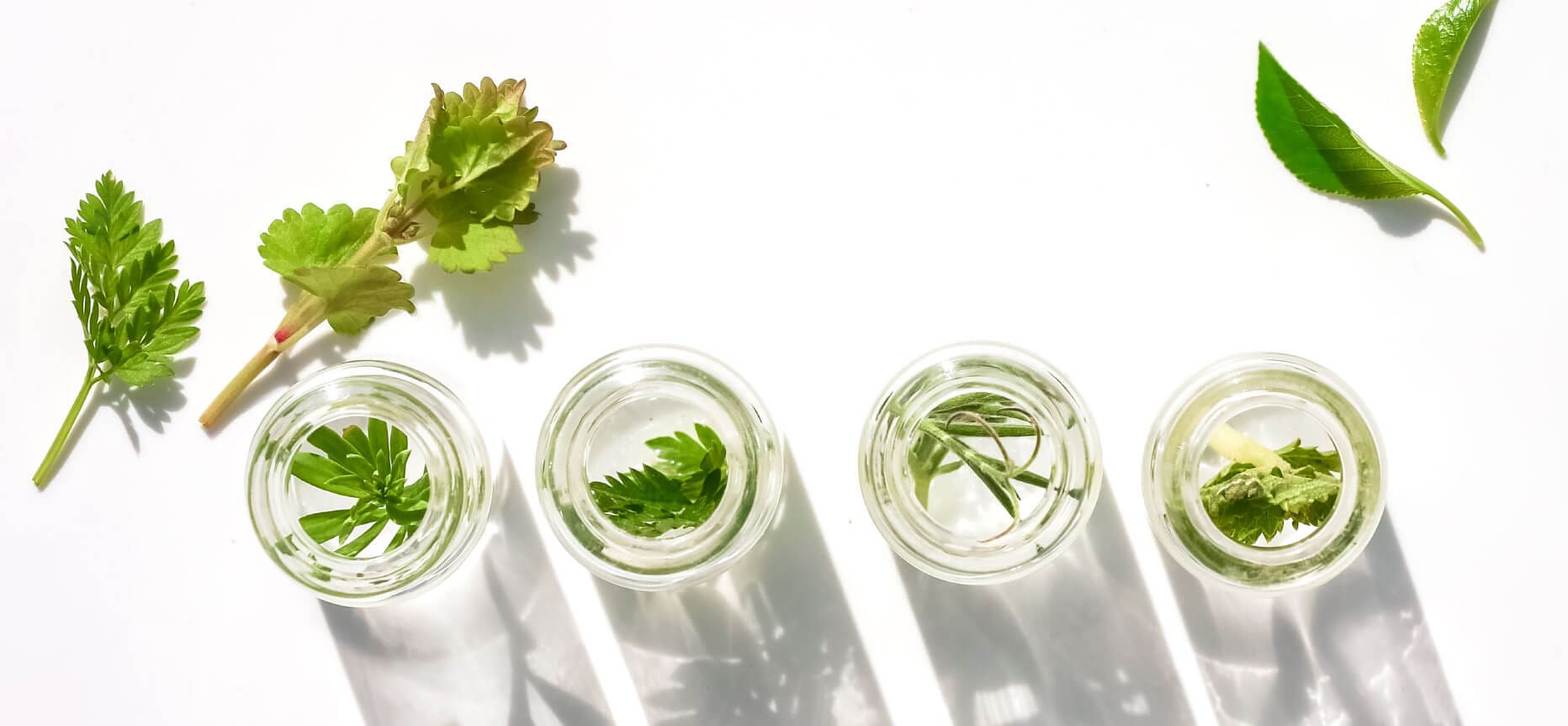 Love-From-Nature-Backed-By-Science[1].jpg__PID:8472f276-d85f-49bf-bc83-2f62a07f2dc8